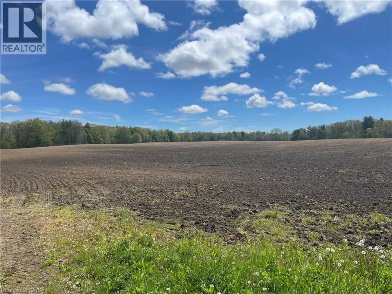 PT LT 4 CONCESSION 10 RD, Delhi, Ontario N4B 2W4