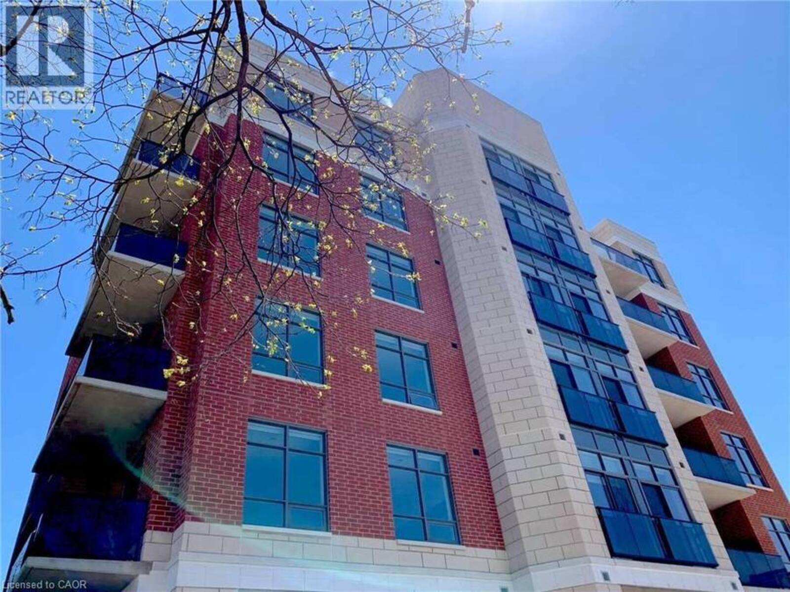 399 QUEEN Street S Unit# 101, Kitchener, Ontario N2G 0C4