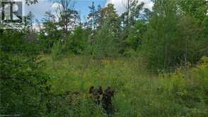 4875 WELLINGTON RD 29 | Guelph-Eramosa Ontario | Slide Image Nineteen
