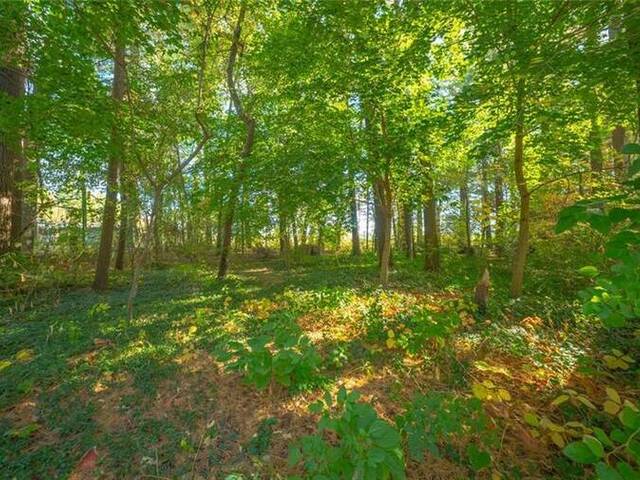643 GAGE Street Delhi Ontario, N4B 2G7 - Vacant Land For Sale