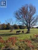 502054 GREY RD 1 Road | Georgian Bluffs Ontario | Slide Image Two