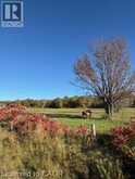 502054 GREY RD 1 Road | Georgian Bluffs Ontario | Slide Image Three