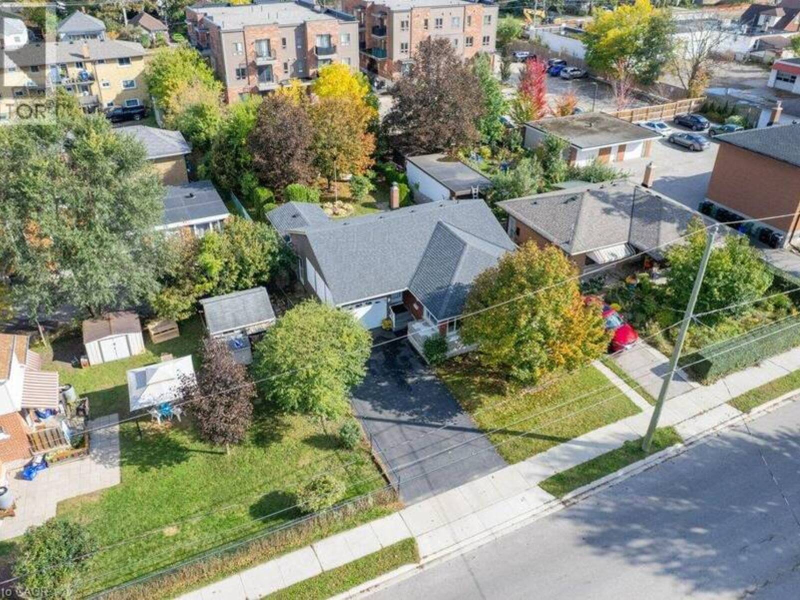 88 BOND Street, Kitchener, Ontario N2H 4S5