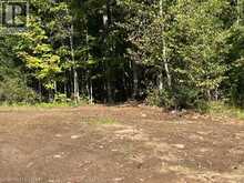 3275 MUSCLOW-GREENVIEW Road | Bancroft Ontario | Slide Image Fourteen