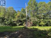 3275 MUSCLOW-GREENVIEW Road | Bancroft Ontario | Slide Image Twenty-eight