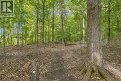 188 HOSTEIN Drive | Ancaster Ontario | Slide Image Forty-two