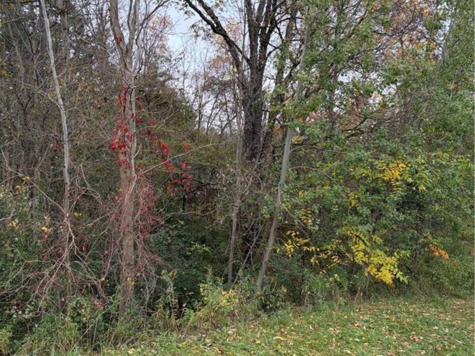 PT LOT 27 CEDAR CREEK Concession, Cambridge, Ontario N1R 5S3