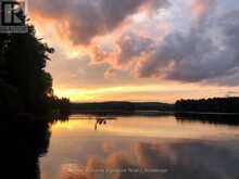 165 LAKESHORE DRIVE | Madawaska Valley Ontario | Slide Image Forty-five