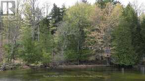 0 TWELVE MILE LAKE ROAD | Minden Hills Ontario | Slide Image Three