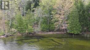 0 TWELVE MILE LAKE ROAD | Minden Hills Ontario | Slide Image Eight