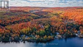 43 LAKESHORE DRIVE | Madawaska Valley Ontario | Slide Image Three