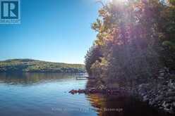 43 LAKESHORE DRIVE | Madawaska Valley Ontario | Slide Image Forty-seven