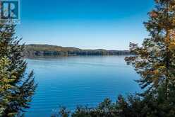 43 LAKESHORE DRIVE | Madawaska Valley Ontario | Slide Image Four