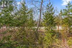 37 EMMERSON AVENUE | Sauble Beach Ontario | Slide Image Twelve