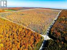 589141 GREY RD 19 ROAD | The Blue Mountains Ontario | Slide Image One