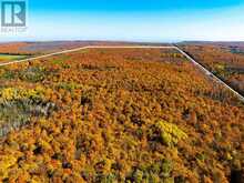 589141 GREY RD 19 ROAD | The Blue Mountains Ontario | Slide Image Two