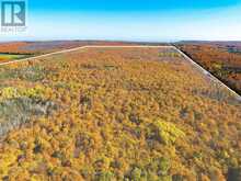 589141 GREY RD 19 ROAD | The Blue Mountains Ontario | Slide Image Three