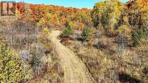 589141 GREY RD 19 ROAD | The Blue Mountains Ontario | Slide Image Four