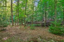 9878 15 SIDE ROAD | Halton Hills Ontario | Slide Image Forty-eight