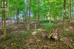 9878 15 SIDE ROAD | Halton Hills Ontario | Slide Image Fifty