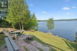 3 - 1378 THREE MILE LAKE ROAD | Utterson Ontario | Slide Image Thirty-two
