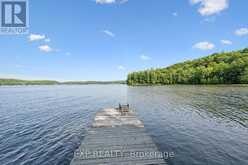 3 - 1378 THREE MILE LAKE ROAD | Utterson Ontario | Slide Image Thirty-five