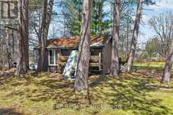 1039 WONDER BEACH ROAD | Utterson Ontario | Slide Image Thirty