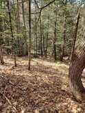 982 RAYMOND ROAD | Utterson Ontario | Slide Image Twenty-seven