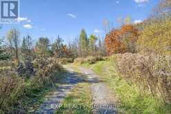 982 RAYMOND ROAD | Utterson Ontario | Slide Image Eight