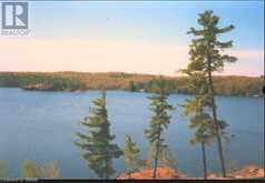 3351 MILLER Island | French River Ontario | Slide Image Four