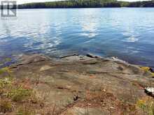 100 KILGORE Island | Addington Highlands Ontario | Slide Image Ten