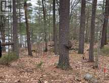 100 KILGORE Island | Addington Highlands Ontario | Slide Image Nine