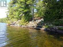 100 KILGORE Island | Addington Highlands Ontario | Slide Image Thirteen