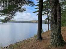 100 KILGORE Island | Addington Highlands Ontario | Slide Image Fourteen