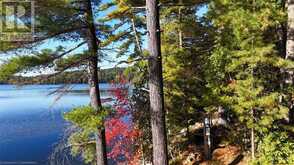 100 KILGORE Island | Addington Highlands Ontario | Slide Image Sixteen