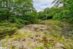 LOT 2 DELTA Road | Washago Ontario | Slide Image Twenty