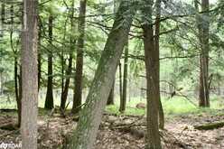 0-WAO KASSHABOG LAKE Unit# Lot 3 | Havelock Ontario | Slide Image Nine