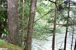 0-WAO KASSHABOG LAKE Unit# Lot 3 | Havelock Ontario | Slide Image Three