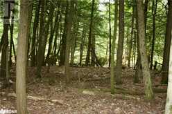 0-WAO KASSHABOG LAKE Unit# Lot 3 | Havelock Ontario | Slide Image Ten