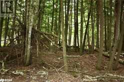 0-WAO KASSHABOG LAKE Unit# Lot 3 | Havelock Ontario | Slide Image Thirteen