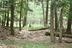 0-WAO KASSHABOG LAKE Unit# Lot 3 | Havelock Ontario | Slide Image Six