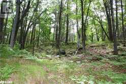 0-WAO KASSHABOG LAKE Unit# Lot 1 | Havelock Ontario | Slide Image Ten