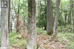 0-WAO KASSHABOG LAKE Unit# Lot 1 | Havelock Ontario | Slide Image Eleven