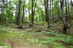 0-WAO KASSHABOG LAKE Unit# Lot 1 | Havelock Ontario | Slide Image Eight