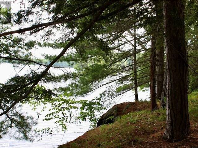 0-WAO KASSHABOG LAKE Unit# Lot 2 Havelock Ontario, K0L 2H0