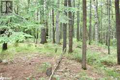 0-WAO KASSHABOG LAKE Unit# Lot 2 | Havelock Ontario | Slide Image Six