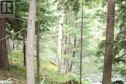 0-WAO KASSHABOG LAKE Unit# Lot 2 | Havelock Ontario | Slide Image Fifteen