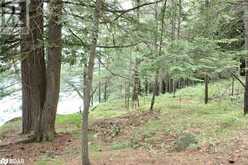 0-WAO KASSHABOG LAKE Unit# Lot 2 | Havelock Ontario | Slide Image Nine