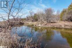 7468 25TH SIDEROAD Side Road | Adjala-Tosorontio Ontario | Slide Image Nineteen