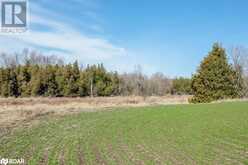 7468 25TH SIDEROAD Side Road | Adjala-Tosorontio Ontario | Slide Image Twenty-two